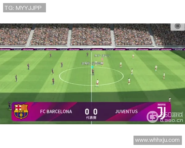 打造完美足球星卡收纳系统的终极指南：从分类到存储的全方位攻略