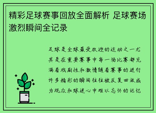 精彩足球赛事回放全面解析 足球赛场激烈瞬间全记录